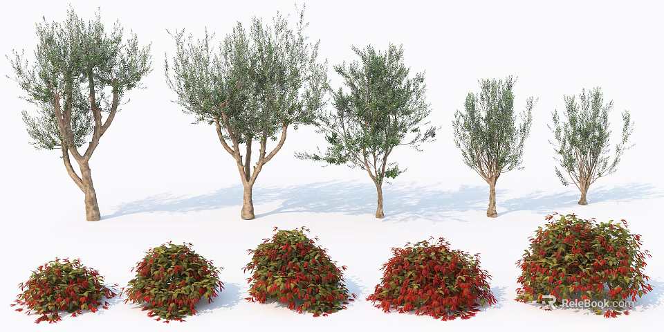 Red Decorative Bushes 3D Models With White Background And Detailed Foliage 3d model 