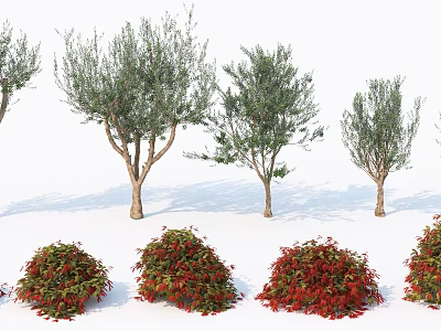 Red Decorative Bushes 3D Models With White Background And Detailed Foliage 3d model