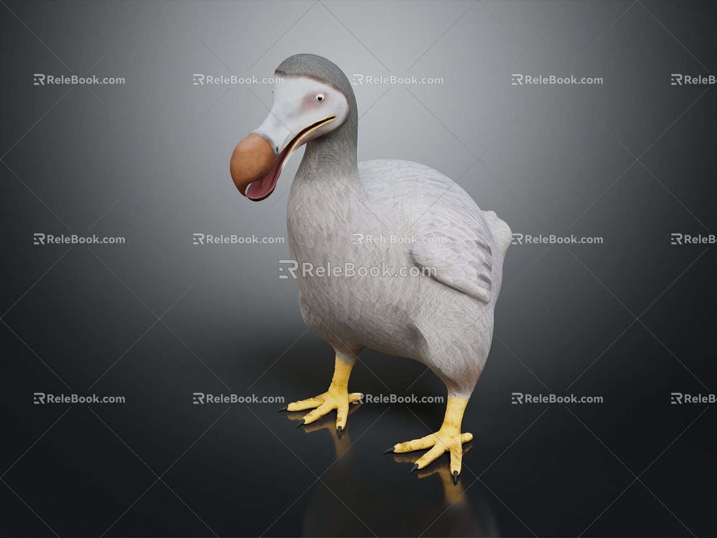 Modern Birds Dodo Birds Flying Birds 3d model