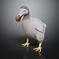 Flying Animal Gray Feathered 3D Model With Yellow Feet Holding Egg In Beak
