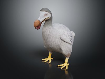 Modern Birds Dodo Birds Flying Birds 3d model