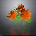 Vibrant Botanical Plant with Red and Orange Flowers and Lush Green Leaves on Dark Background
