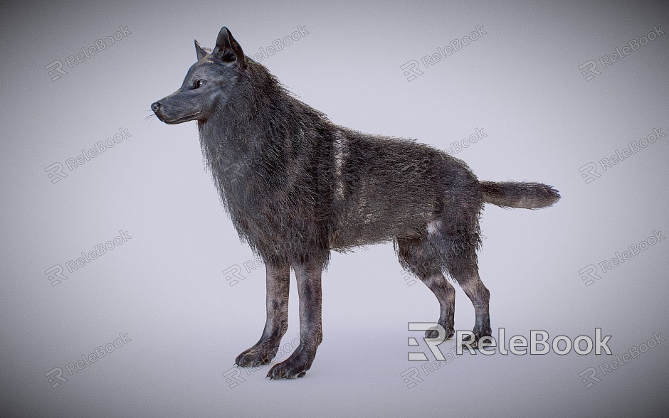 Wolf Grey Wolf model