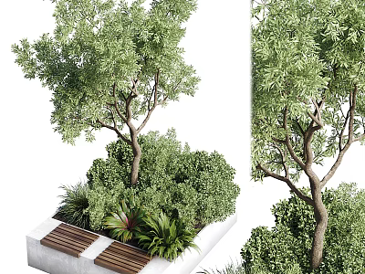 Modern Flower Planter with Green Plants Tree and Lush Foliage in Garden 3d model