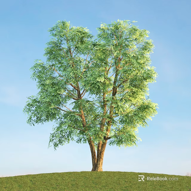 Tall Arbor With Lush Green Leaves And Brown Trunk Against Blue Sky 3d model 