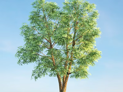 Tall Arbor With Lush Green Leaves And Brown Trunk Against Blue Sky 3d model