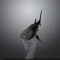 Detailed Whale Shark 3D Rendering With Spotted Skin Pattern And Lifelike Underwater Creature Features