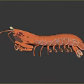 Orange Lobster Paper Craft Model With Detailed Antennae And Claws