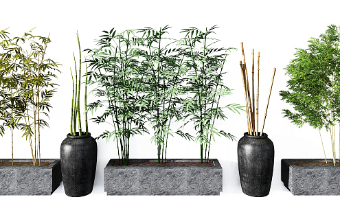 Modern Bamboo Combination 3d model