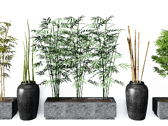 Modern Bamboo Combination 3d model