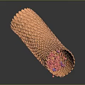 Microscopic View of Tubular Organ Tissue with Honeycomb Texture and Red Cellular Particles