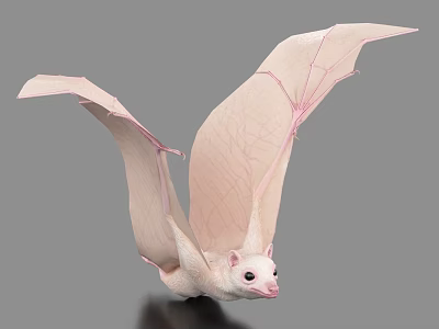 Unique Pale Pink Flying Animal Bat Showcasing Detailed Veined Wings In Flight 3d model