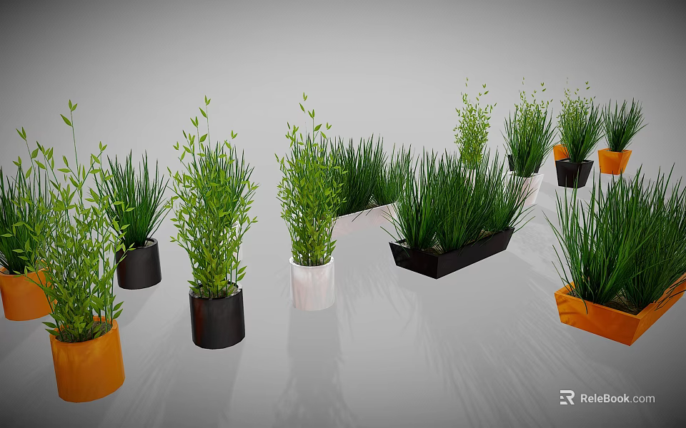 Green Indoor Plants with Various Colored and Different Shaped Planters for Home Decor 3d model 