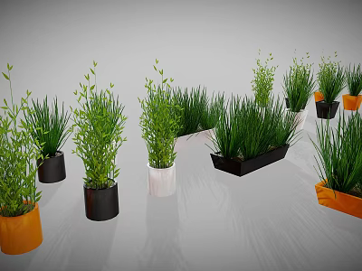 Green Indoor Plants with Various Colored and Different Shaped Planters for Home Decor 3d model