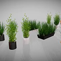 Green Indoor Plants with Various Colored and Different Shaped Planters for Home Decor
