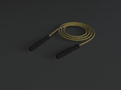 Sports Equipment Jump Rope with Golden Rope and Black Handles 3d model