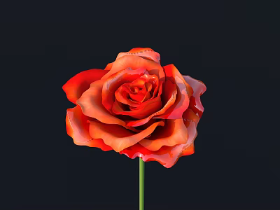 Vibrant Red Rose With Lush Petals And Green Stem On Black Background 3d model