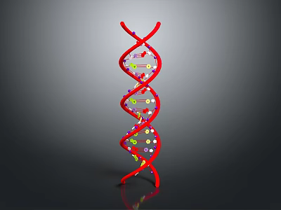 Red DNA Double Helix Structure With Colorful Molecular Components And Reflective Surface 3d model