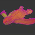 Baby Sea Turtle With Dark Shell And Flippers In Natural Marine Habitat