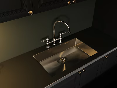 Modern Kitchen Faucet With Stainless Steel Sink Black Cabinets And Green Wall 3d model