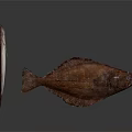 Two Fish With Brown And White Color Patterns On White Background