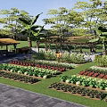 Rural Landscape Featuring Organized Vegetable Garden Various Crops Trees Pergola And Stone Paved Ground
