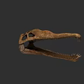 Reptile Fossil Skull With Long Snout And Sharp Teeth On Dark Background 3d model