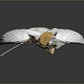 Mythical Angel Character In Armor With White Feathered Wings Golden Hair And Sword