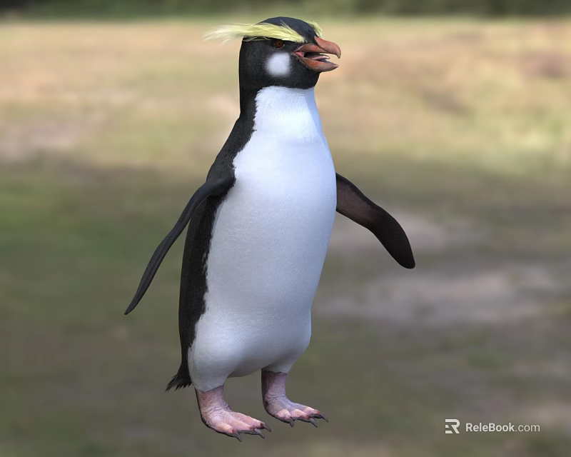 Beautiful Penguin With Yellow Crest And Black White Plumage Standing In Natural Habitat 3d model 