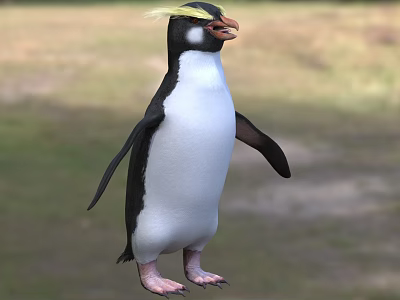 Beautiful Penguin With Yellow Crest And Black White Plumage Standing In Natural Habitat 3d model