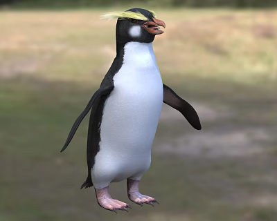Beautiful Penguin With Yellow Crest And Black White Plumage Standing In Natural Habitat 3d model