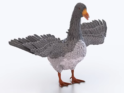 Grey Goose With Spread Wings Orange Beak And Feet On White Background 3d model