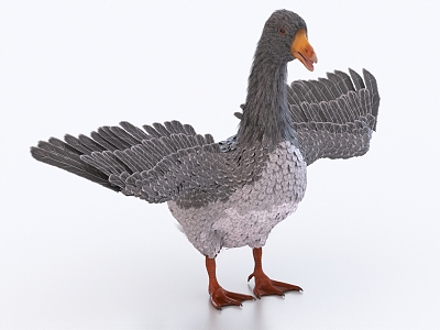 goose duck animal 3d model