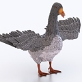 goose duck animal 3d model