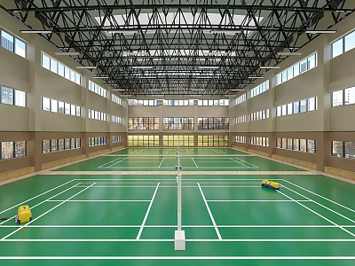 Indoor Badminton Court With Green Floor White Lines And Spacious Modern Fitness Facility 3d model