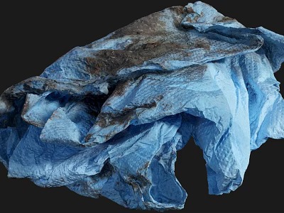 Blue And Dark Colored Rock Like Object With Wrinkled Surface And Texture 3d model