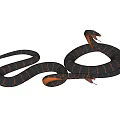 Realistic Black Red Striped Snake With Coiled Body And Raised Head
