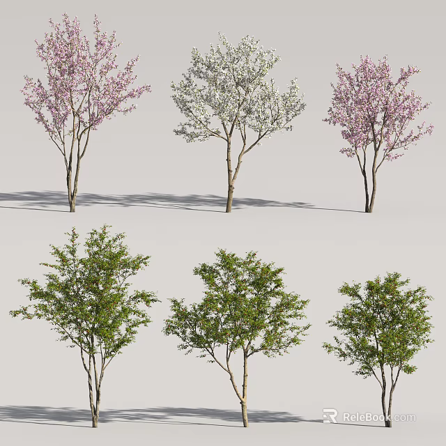 Flowering Trees with Pink White Blossoms and Green Leaf Varieties in Landscape 3d model 