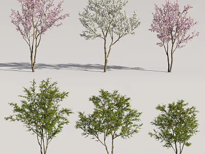 Flowering Trees with Pink White Blossoms and Green Leaf Varieties in Landscape 3d model