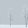 Snow Tree Modern Tree 3d model