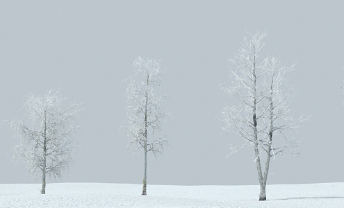 Snow Tree Modern Tree 3d model