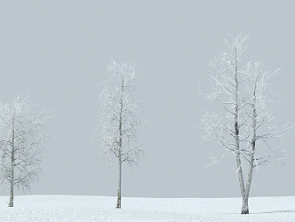 Snow Tree Modern Tree 3d model