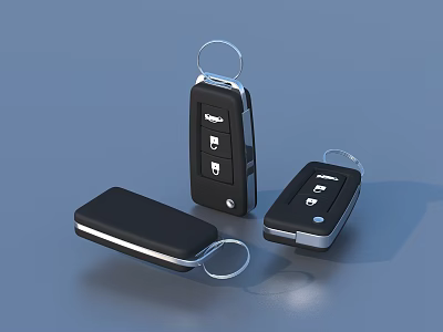 Modern Stylish Black Key Fobs With Key Rings And Three Pieces For Daily Use 3d model