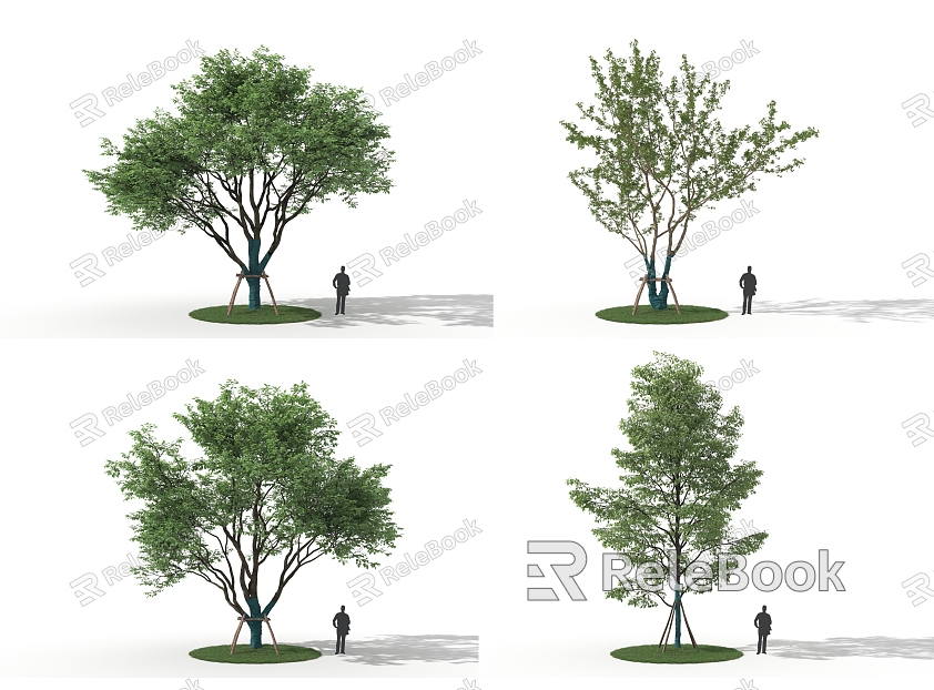 Garden Tree Landscape Tree model