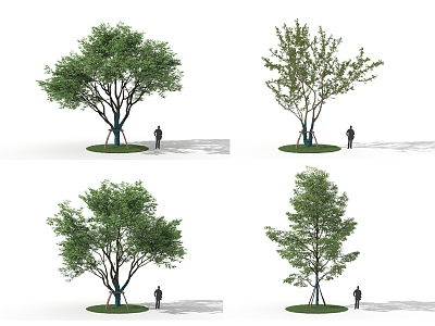 Garden Tree Landscape Tree model