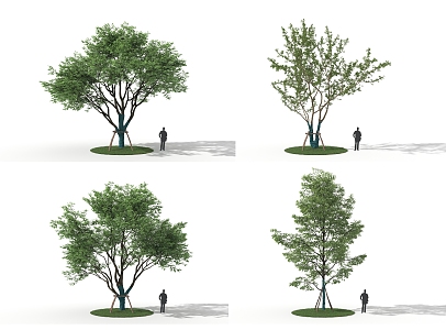 Garden Tree Landscape Tree 3d model