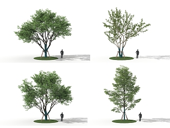 Garden Tree Landscape Tree 3d model