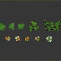 Various Colorful Plants Including Sunflowers Lupines And Daisies With Reflections On Gray Background