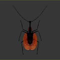 Insect with Red Wings Black Legs and Long Antennae on Gray Background