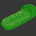 3D Model of Organelle with Light Green Outer Layer Pink Inner Structure and Yellow Particles